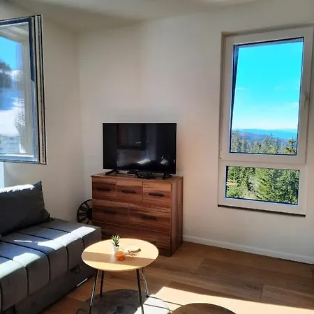 Apartman Snowflake 1 *